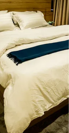 جناح لومير الملكي ، صورة 4